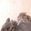 チモチモ特等席