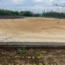 環境委員会〜1月の活動報告〜