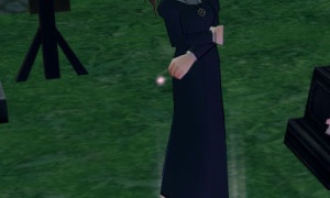 メイディーの依頼書 神聖な祝福ポーション