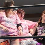 プロレスのミカタ