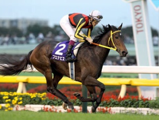 さて今年こそブエナビスタは顕彰馬になれるのか