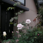 名歌名句鑑賞のblog