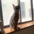 光を浴びて皆んな立ち姿が美しい