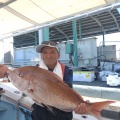 マダイ釣り