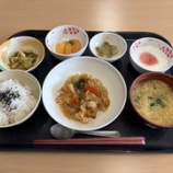『薔薇の樹苑/R8.5月お楽しみ献立』の画像