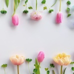 ゆとりあるシンプルな暮らし