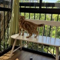 ゼンタちゃん、またね～
