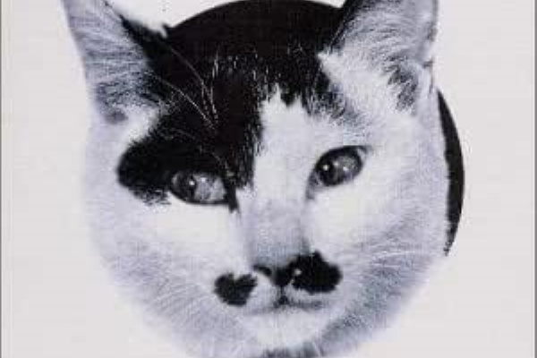 俺の好きなアルバムたち - #Rock : Japan