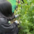 子どもたちが、活躍の場所を見つけていく（チャンスと準備の関係）