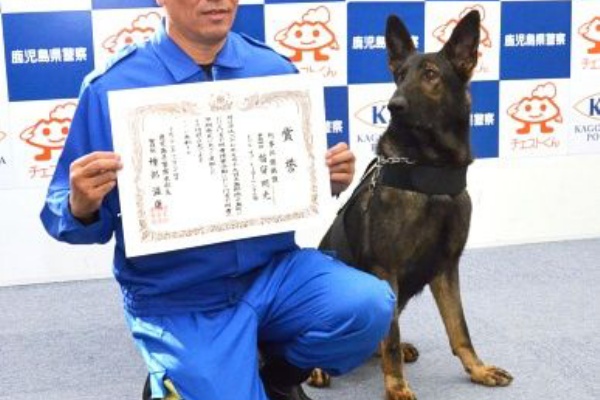 すごいぞドリル ３人救った警察犬を表彰 鹿児島県警 画像あり いぬねこ動物集会所