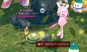 「強力！ロイヤルブーストドリンク」ペット探検隊の調査時間短縮