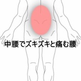 『育児による中腰でのズキズキする腰痛　 登別室蘭すのさき鍼灸整骨院　症例報告』の画像