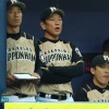 ハムファン集合 	