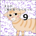 まるがご飯を食べなくなった９