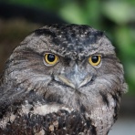 KaminariRacingブログ