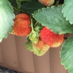 50の人生に70の覚悟