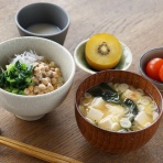 四つ葉のくまさんの癒しのお花、時々お料理日記