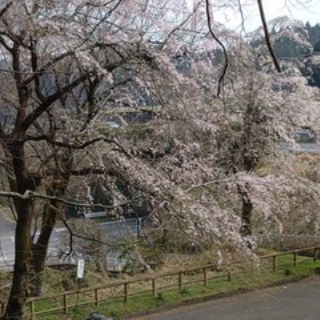 スラムのNBAトーク