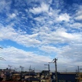 今日から３日間