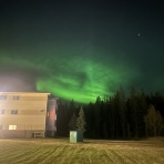 帝塚山学院大学リベラルアーツ学科グローバル英語専攻　英語圏留学プログラム