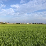 三重県よろずや
