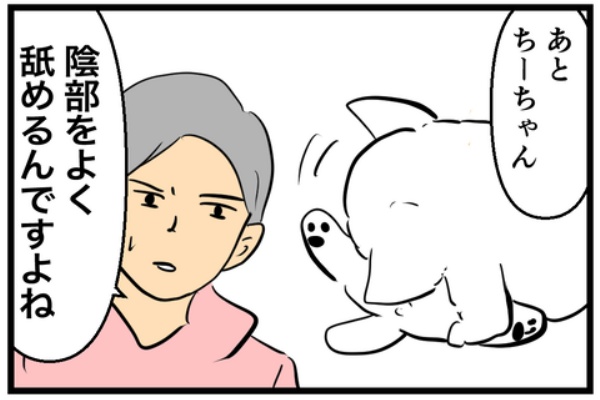 ちーちゃんっ🐾 - 犬あるある