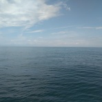 今日の海楽園blog