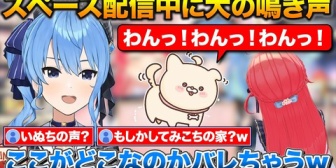 【ホロライブ】いぬちの鳴き声でみこちの家にいる事がバレるすいちゃんｗ