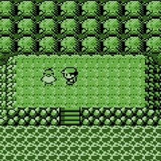 徒歩のポケモンまとめブログ