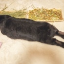 自信を持ってこの調子で。