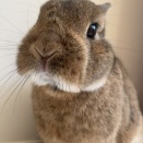 そらくん10回目のお誕生日