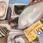 徒然なるままに