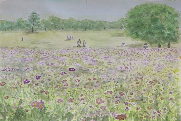 水彩画初心者ブログ 始めて1年になります - ユーキャン風景スケッチ講座