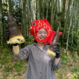 『小谷麻衣隊員について』の画像