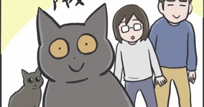 毎日が発見ネット掲載のお知らせ
