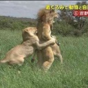 過去に芸能人がやってたロケや企画の中で一番過酷そうだなと思ったもの