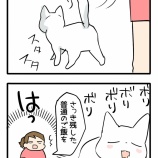 お口の匂い鑑定士