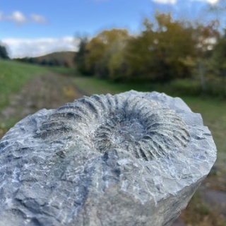 ほっほ：いしとむしとやまの人