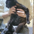 御年19才まだまだ元気👵