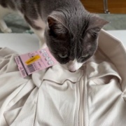 ワークマンで買った日焼け防止ウェアと疲労回復ウェア