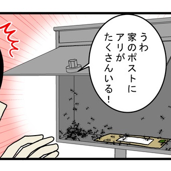 自分でも作れる！ 天然由来の害虫対策アイテム「ハッカスプレー」を使ってみたところ…!?