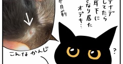 ポルちゃんのオデキ？①