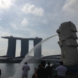 『 マリーナベイサンズ最上階のプール♡』の画像