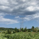 フジテレビの東日本大震災、そして福島第一原発のメルトダウン、命の戦い。