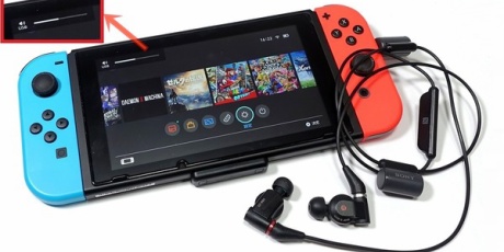 自作とゲームと趣味の日々 Nintendo Switch