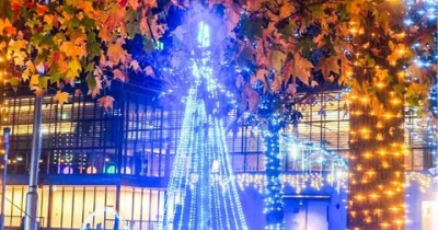 東広島市中央公園のイルミネーション