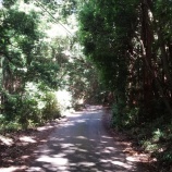 『不動峠~上曽峠~湯袋峠~風返し峠』の画像