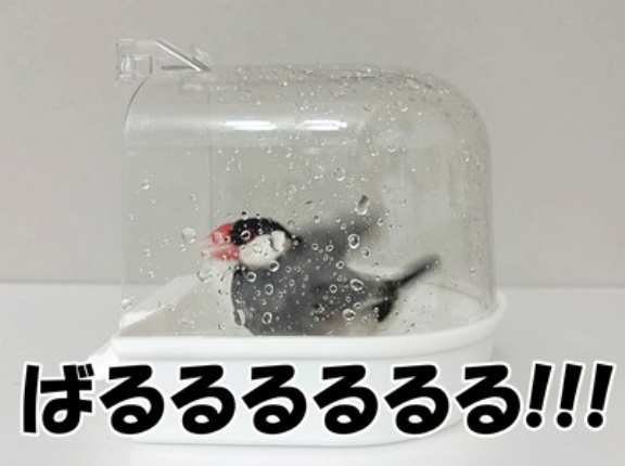 ぼくは世帯主だから