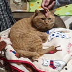 もっちり＠日記