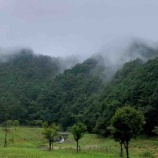 『またまた明日香村へ① 大雨の中、奥明日香へ行ってきました。稲渕と栢森探訪』の画像